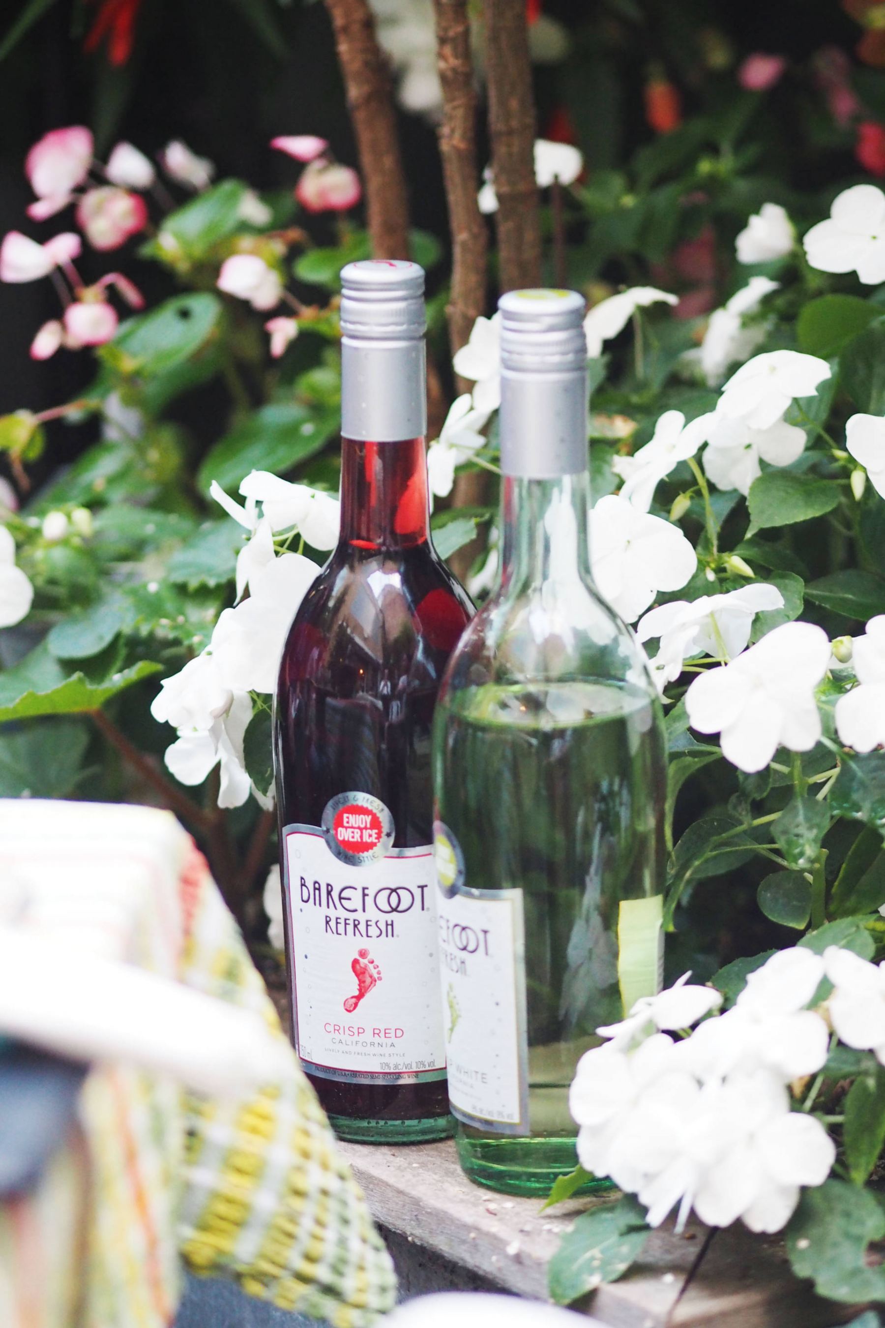 barefoot wines
