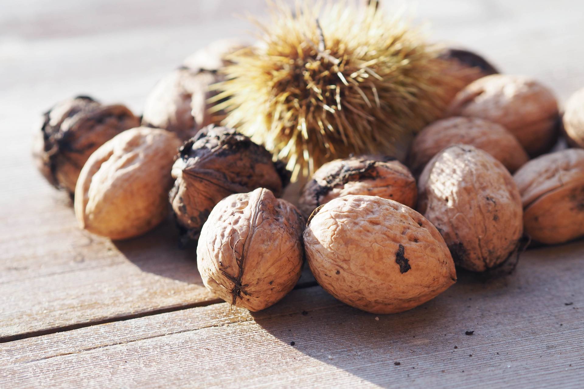 chestnuts
