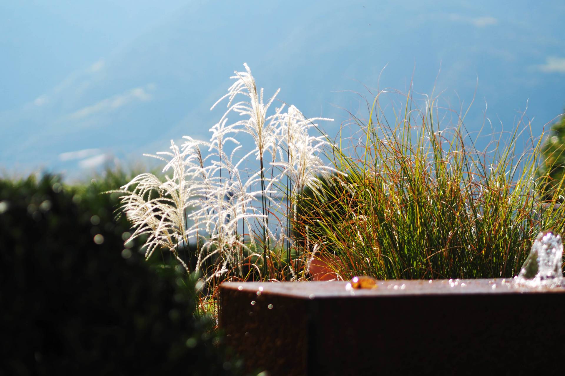 south tyrol howenwart hotel