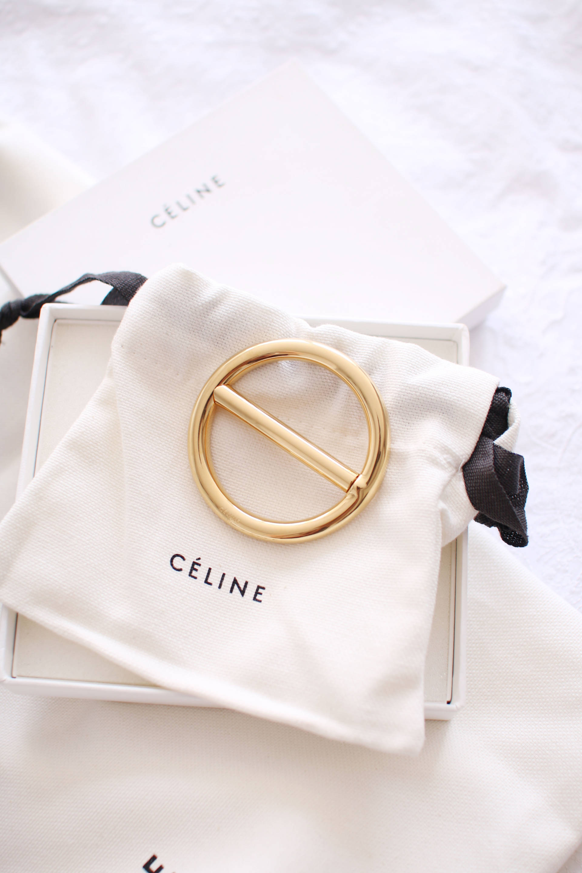 Celine Paris Fashion Week 2015 inthefrow