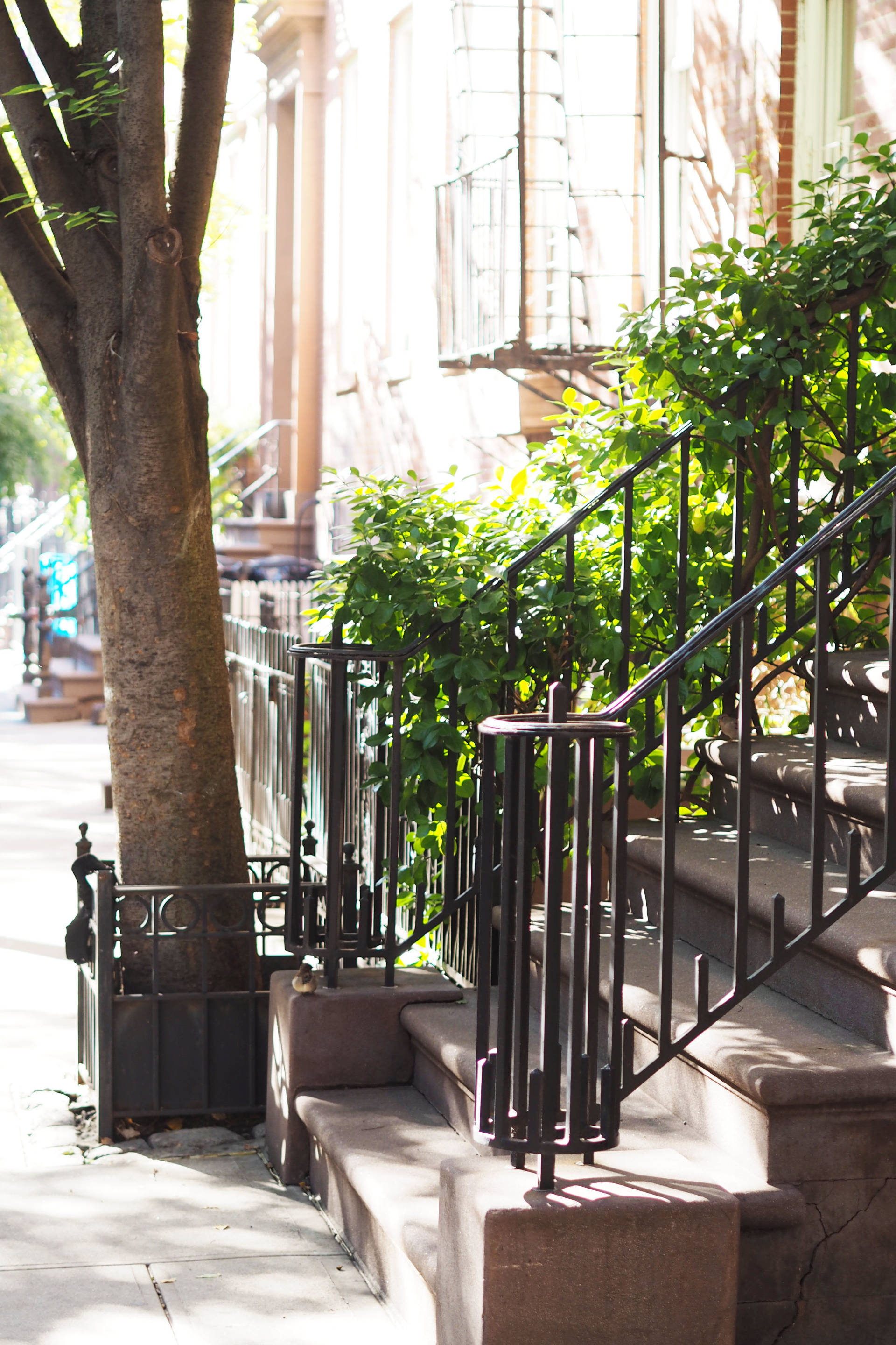 new york west village