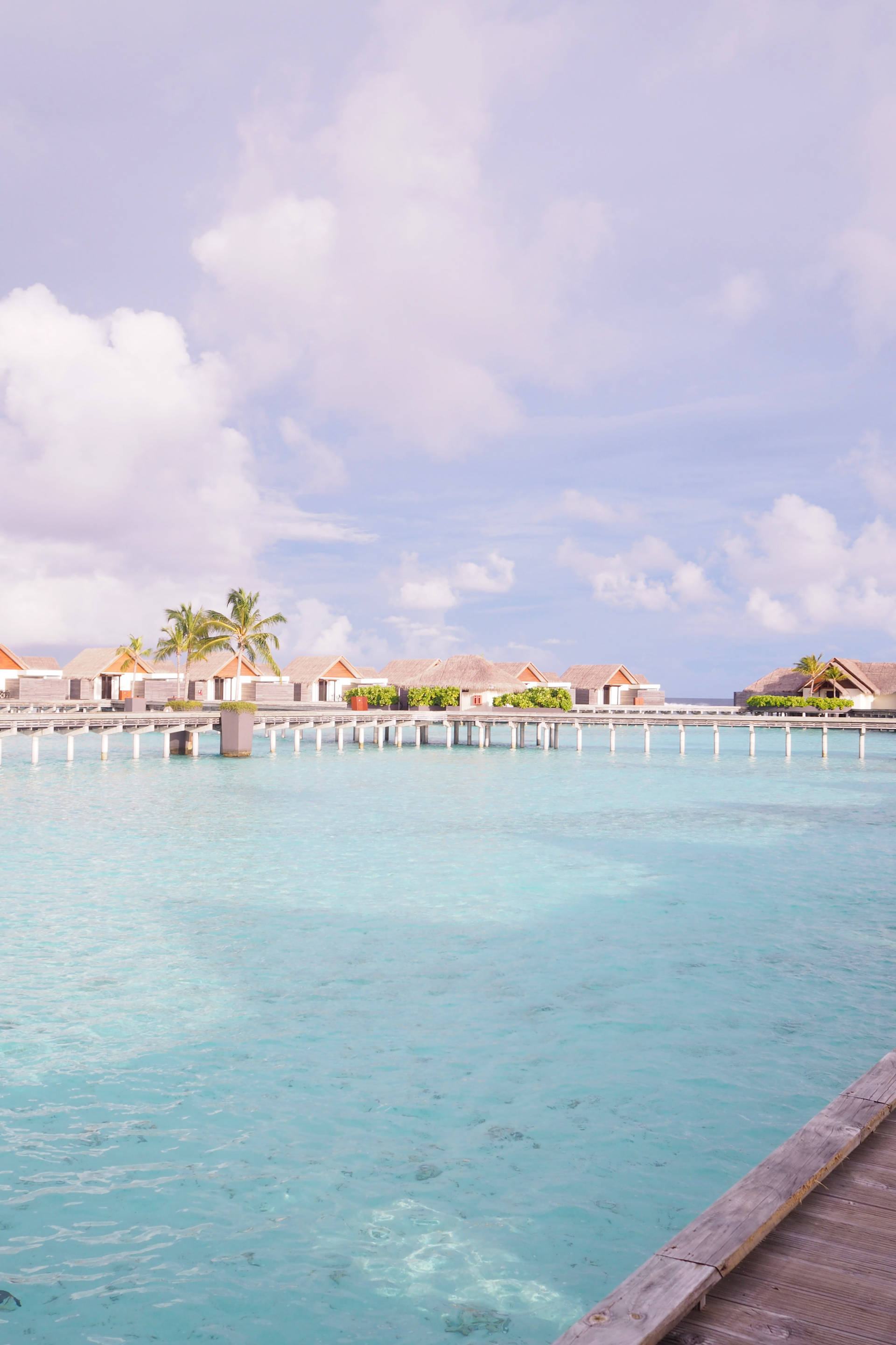 maldives guide niyama maldives guide niyama