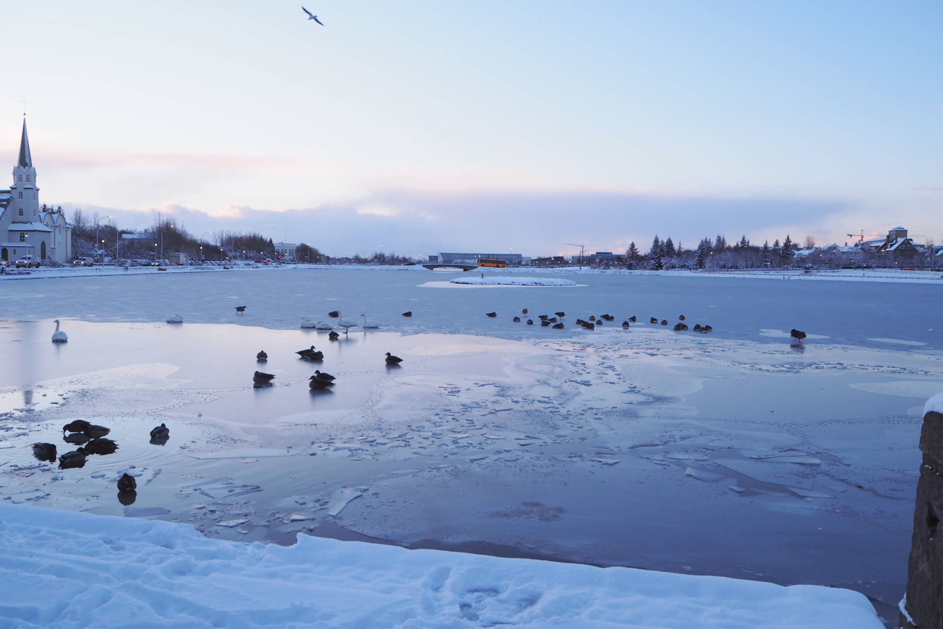 iceland iceland