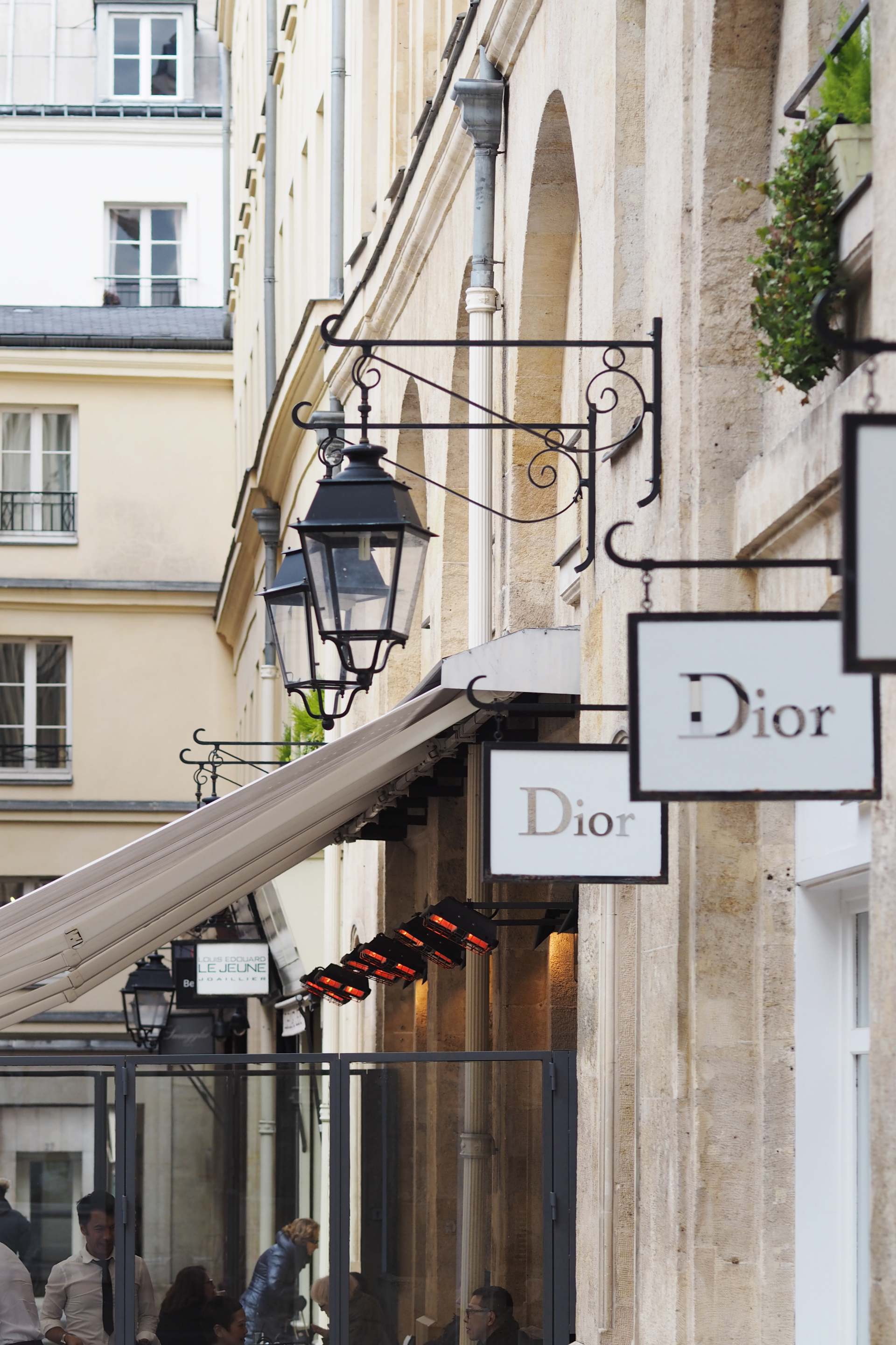 P3080451 dior paris