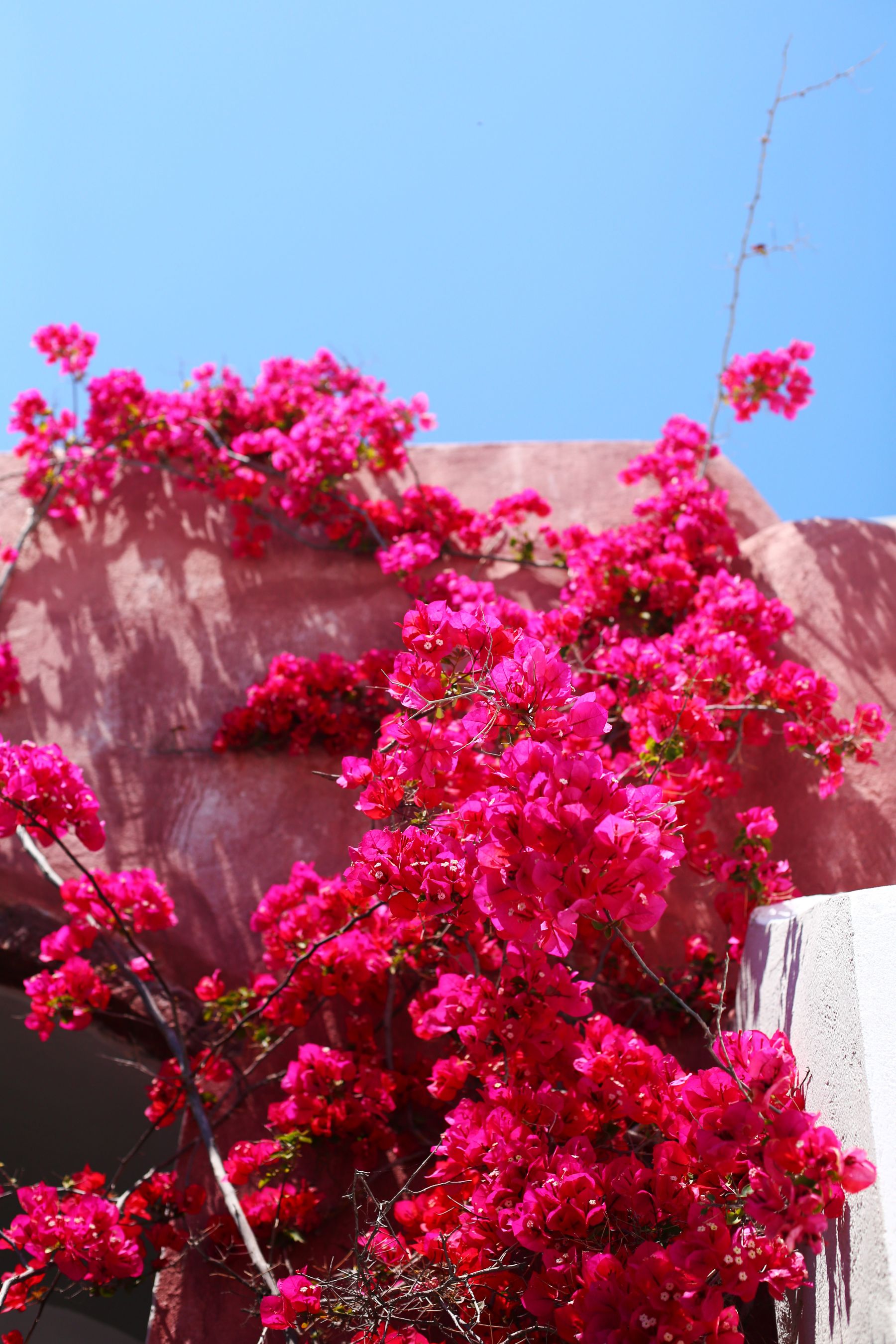 5G5A3312 exploring oia, santorini / inthefrow