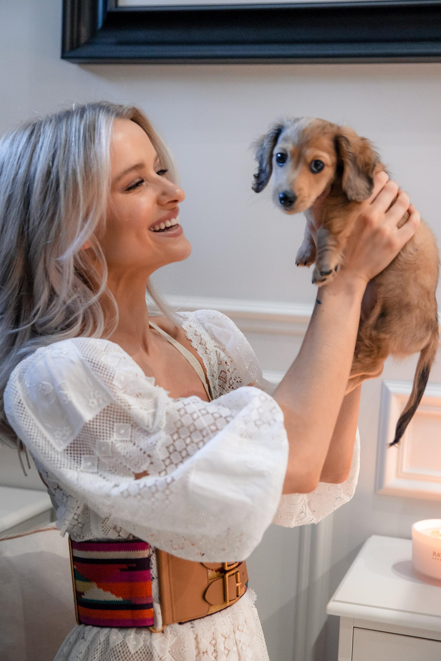 5 Must Know Tips for New Puppy Parents & Meet Boe! - Inthefrow
