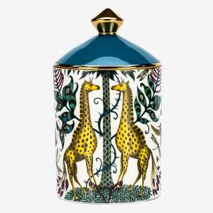 Kruger Candle